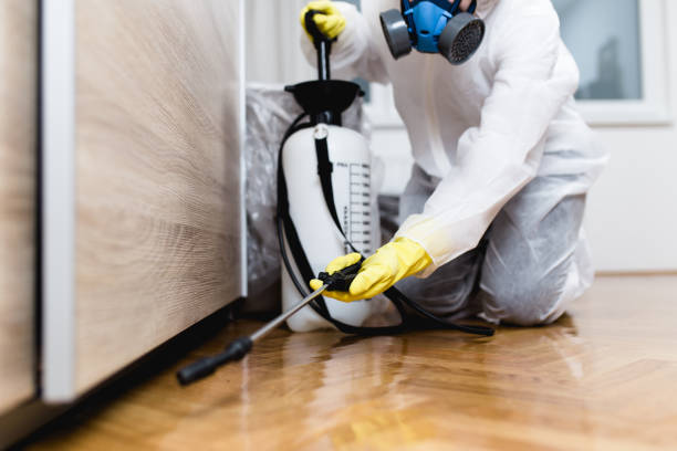 Best Best Pest Control Companies  in Isanti, MN