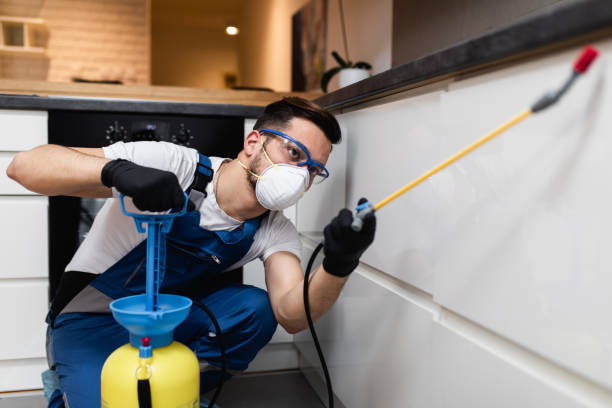 Best Best Pest Control Companies  in Isanti, MN
