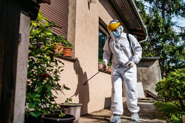 Best Flea Control Services  in Isanti, MN