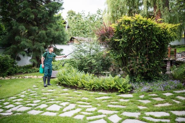 Best Local Pest Control Services  in Isanti, MN