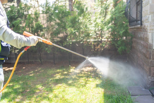 Best Rat Extermination Near Me  in Isanti, MN