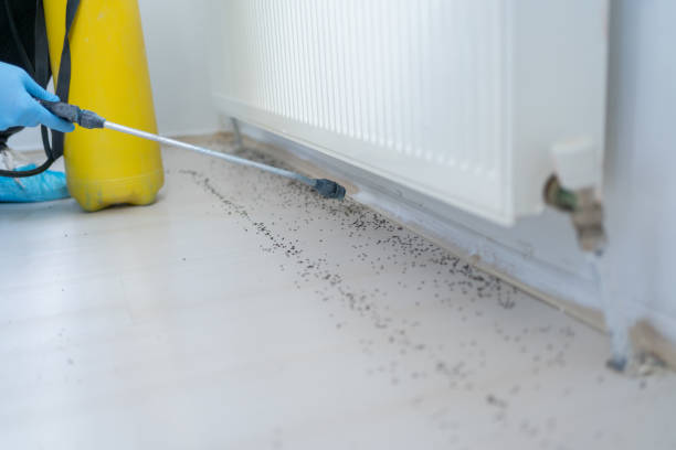 Trusted Isanti, MN Pest Control Experts